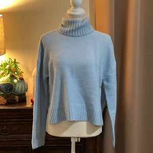 Vici Turtleneck Sweater